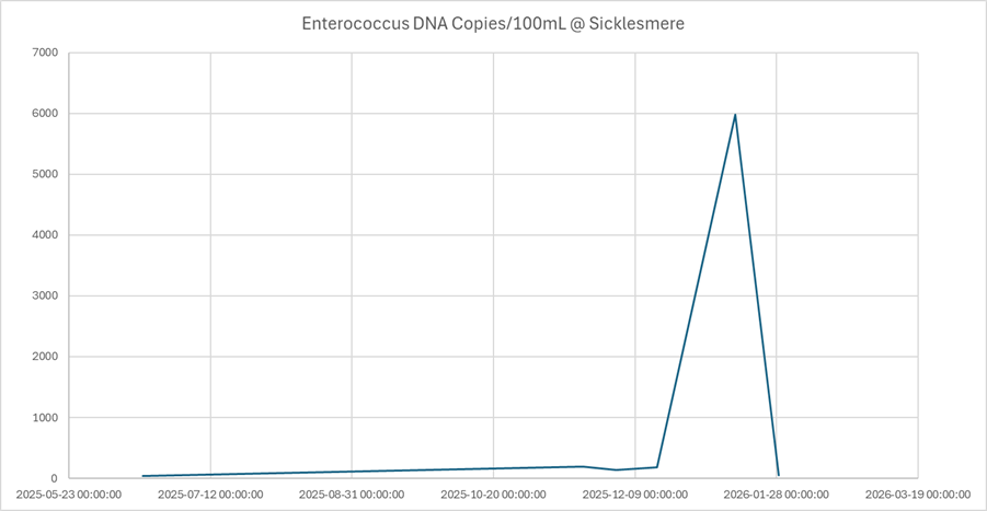 Image 9: Enterococcus Spike at Sicklesmere